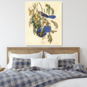Florida Jay (Scrub-Jay) Audubon's vogels in Amerik Canvas Afdruk (Insitu (Slaapkamer))