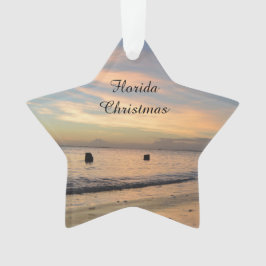 Florida Kerstversiering Ornament