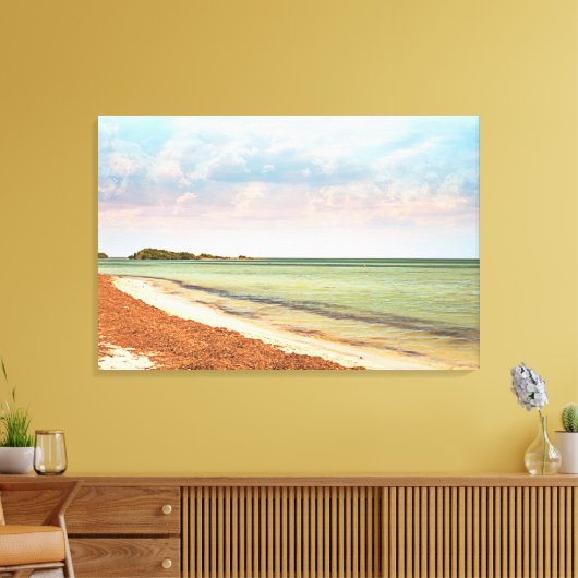 Florida Keys Bahia Honda Beach Canvas Afdruk (Insitu (Woonkamer))