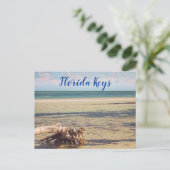 Florida Keys Bahia Honda Driftwood Beach Briefkaart (Staand voorkant)