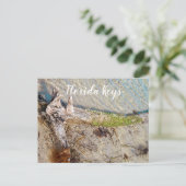 Florida Keys Bahia Honda Driftwood Shore Briefkaart (Staand voorkant)