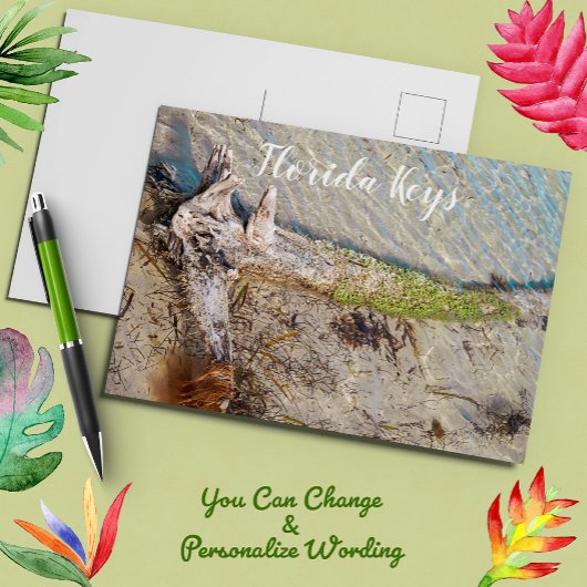 Florida Keys Bahia Honda Driftwood Shore Briefkaart