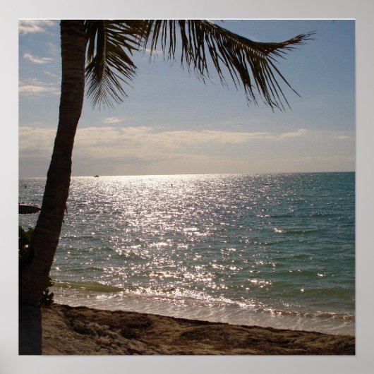 Florida Keys Beach Poster (Voorkant)