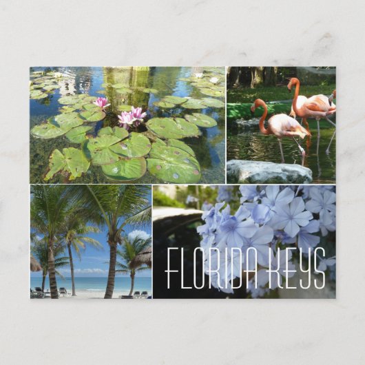 Florida Keys Briefkaart (Voorkant)