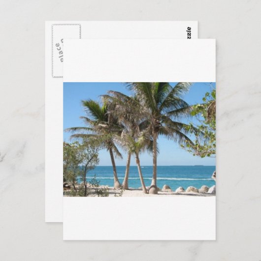 Florida Keys Briefkaart (Voorkant / Achterkant)