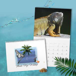 Florida Keys calendrier de la faune