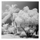 Florida Keys huis en zijn palmbomen, VS. 2 Tegeltje (Voorkant)