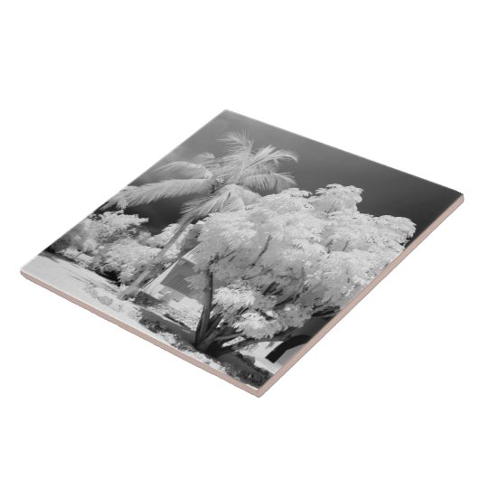 Florida Keys huis en zijn palmbomen, VS. 2 Tegeltje (Zijkant)