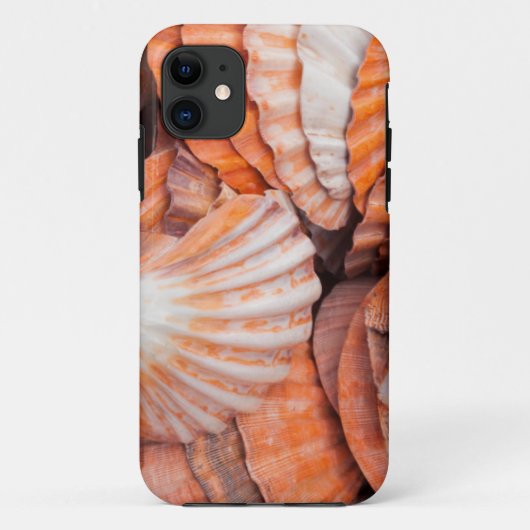 Florida Keys, Key West, seizoenshells Case-Mate iPhone Case (Achterkant)