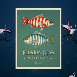 Florida Keys poisson rayé marine Carte postale