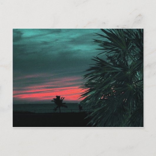 Florida Keys Sunset Briefkaart Groot (Voorkant)