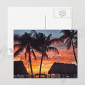 Florida Keys tropische zonsondergang Briefkaart (Voorkant / Achterkant)