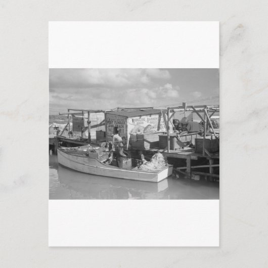 Florida Keys Vist, 1938 Briefkaart (Voorkant)