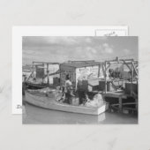 Florida Keys Vist, 1938 Briefkaart (Voorkant / Achterkant)