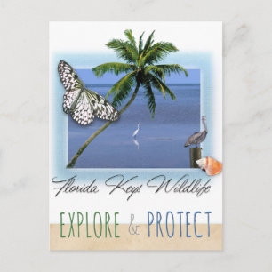 Florida Keys Wildlife Briefkaart