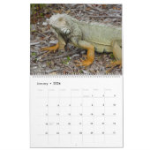 Florida Keys Wildlife Calendar Kalender (Jan 2026)