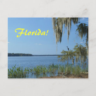 Florida Lake Briefkaart