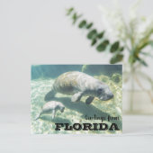 Florida Lamantijn en Jong Briefkaart (Staand voorkant)