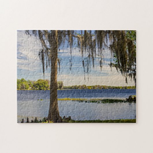 Florida Landschap Jigzaag Puzzle Legpuzzel (Horizontaal)