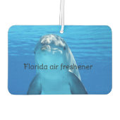 Florida luchtverfrisser (Achterkant)
