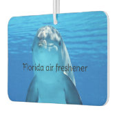 Florida luchtverfrisser (Links)