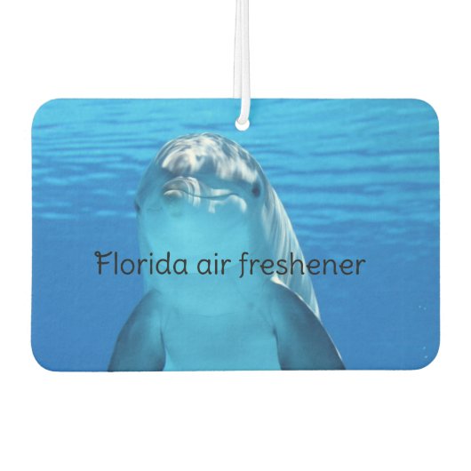 Florida luchtverfrisser (Voorkant)
