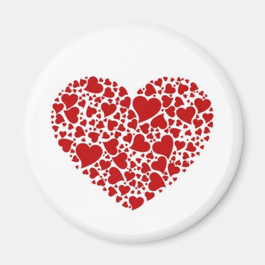 Florida magnet magneet (Voorkant)