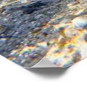 Florida Manatee bij de Crystal River FL Poster (Hoek)