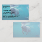 Florida Manatee Visitekaartje (Voorkant / Achterkant)