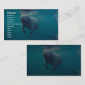 Florida Manatee Visitekaartje (Voorkant / Achterkant)