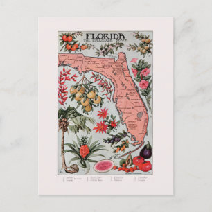  Florida Map Briefkaart