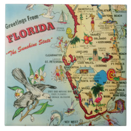 Florida Map Ceramic Tegel Tegeltje