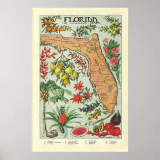 Florida Map - Flora Poster