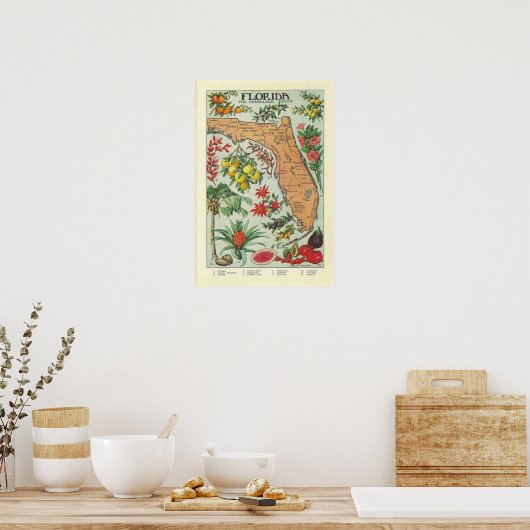 Florida Map - Flora Poster (Keuken)