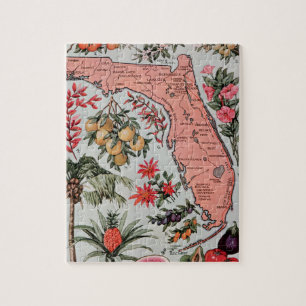  Florida Map Legpuzzel