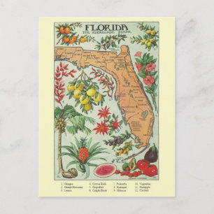  Florida Map Post Card Briefkaart