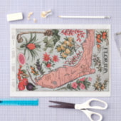  Florida Map Tissuepapier (Craft)