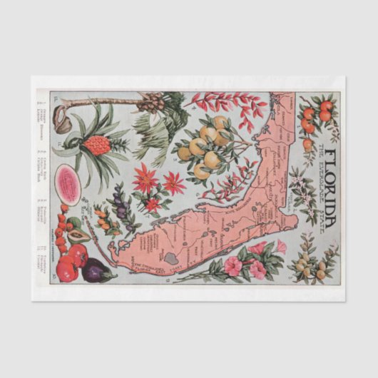  Florida Map Tissuepapier (Voorkant)