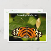 Florida Museum Butterfly Rainforest Briefkaart (Voorkant / Achterkant)