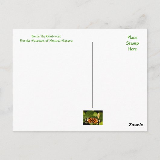 Florida Museum Butterfly Rainforest Carte postale (Dos)