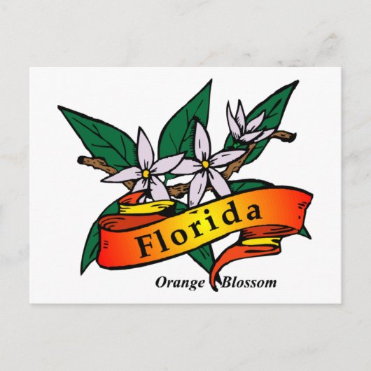 Florida Oranje Blossom Briefkaart (Voorkant)