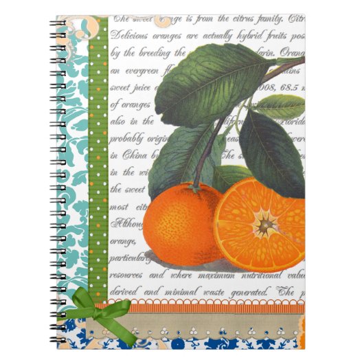 Florida Oranje recept notebook Notitieboek (Voorkant)