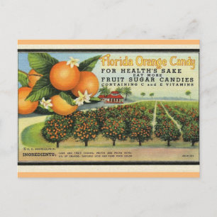 Florida Oranje Snoep Briefkaart