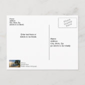 Florida Overhellende Palmboom Zonsondergang Bedank Briefkaart (Achterkant)