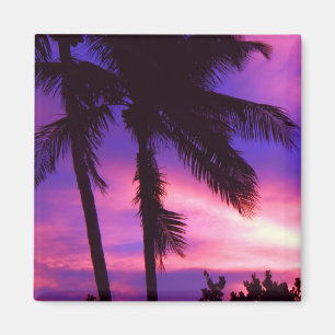 Florida Palm Sunset Magnet