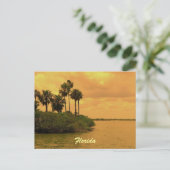 Florida Palm Tree Reverie Briefkaart (Staand voorkant)
