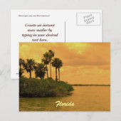 Florida Palm Tree Reverie Briefkaart (Voorkant / Achterkant)