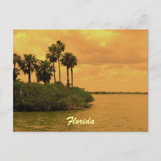Florida Palm Tree Reverie Briefkaart
