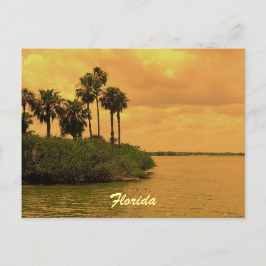 Florida Palm Tree Reverie Briefkaart (Voorkant)