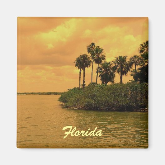 Florida Palm Tree Reverie Magneet (Voorkant)
